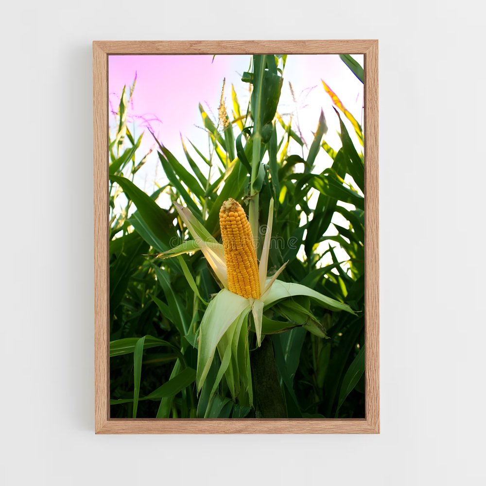 ap-corn-5 cadre Bois clair
