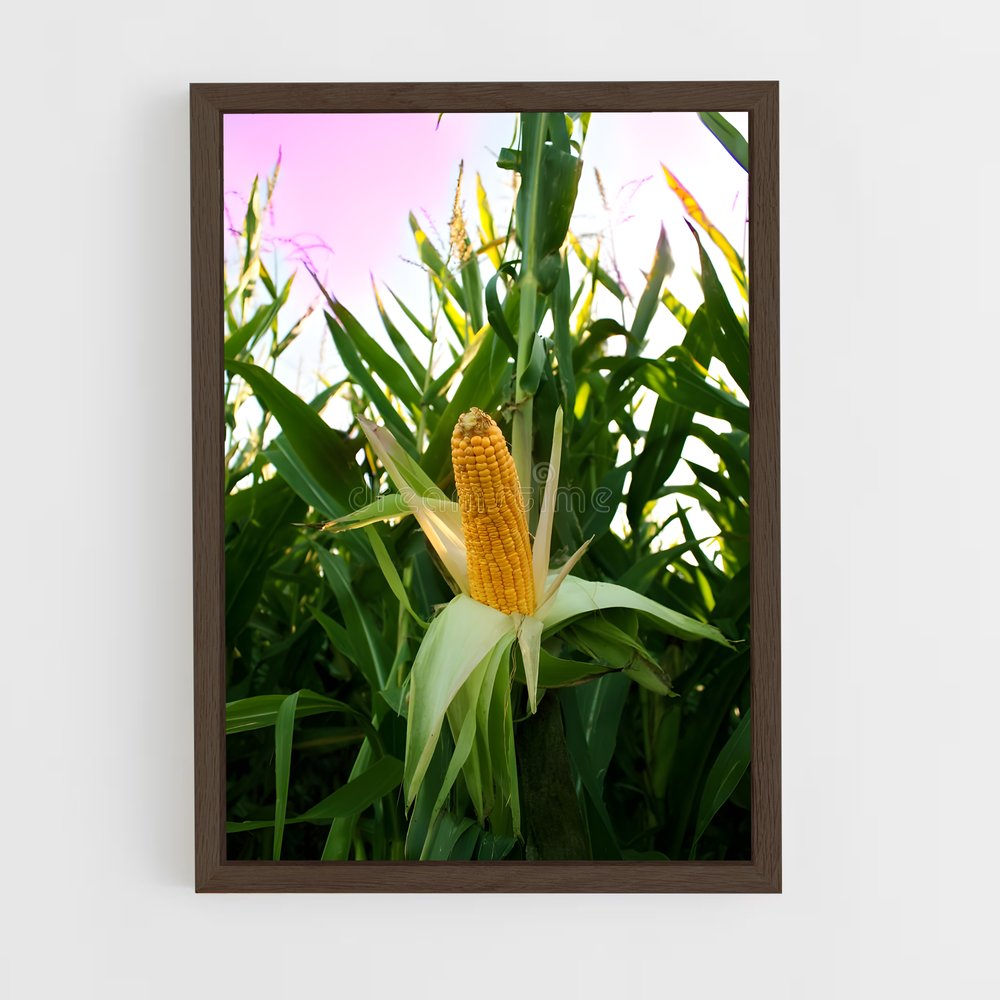 ap-corn-5 cadre Bois foncé
