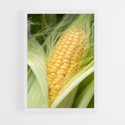 ap-corn-6 cadre Blanc