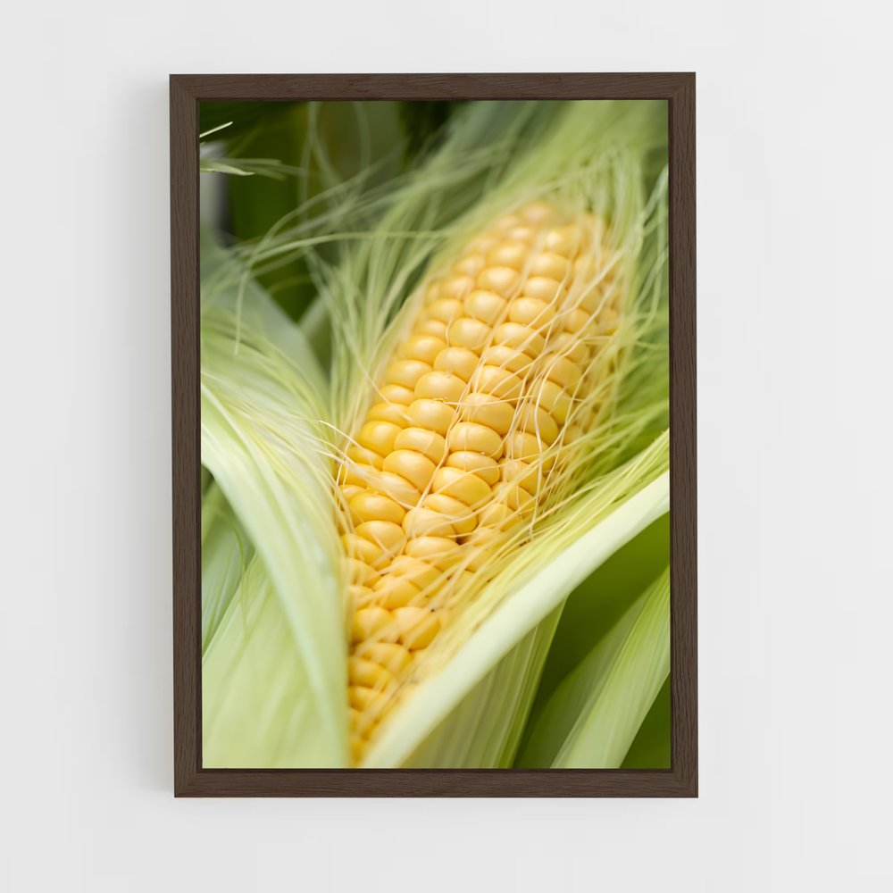 ap-corn-6 cadre Bois foncé