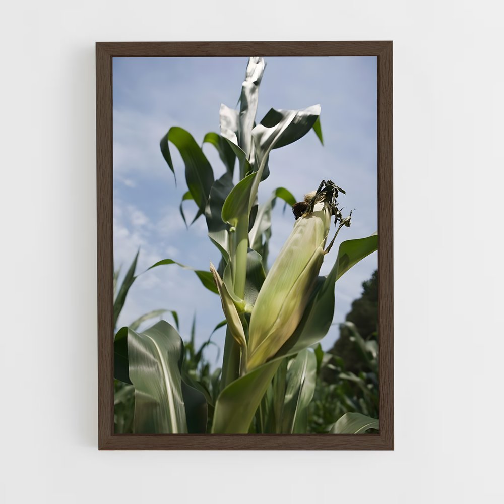 ap-corn-8 cadre Bois foncé