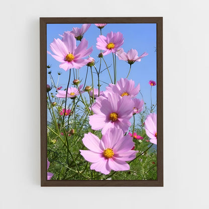 ap-cosmos-9 cadre Bois foncé