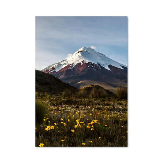 Poster Sommet Glacé
