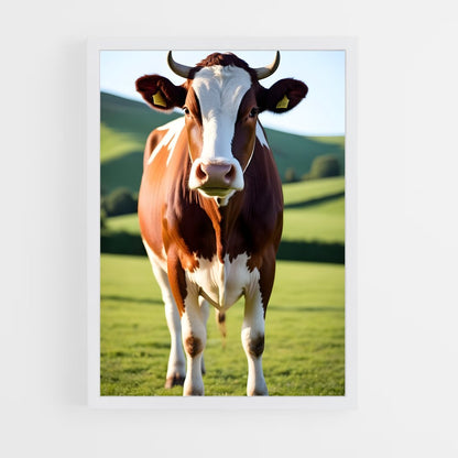 ap-cow-1 cadre Blanc