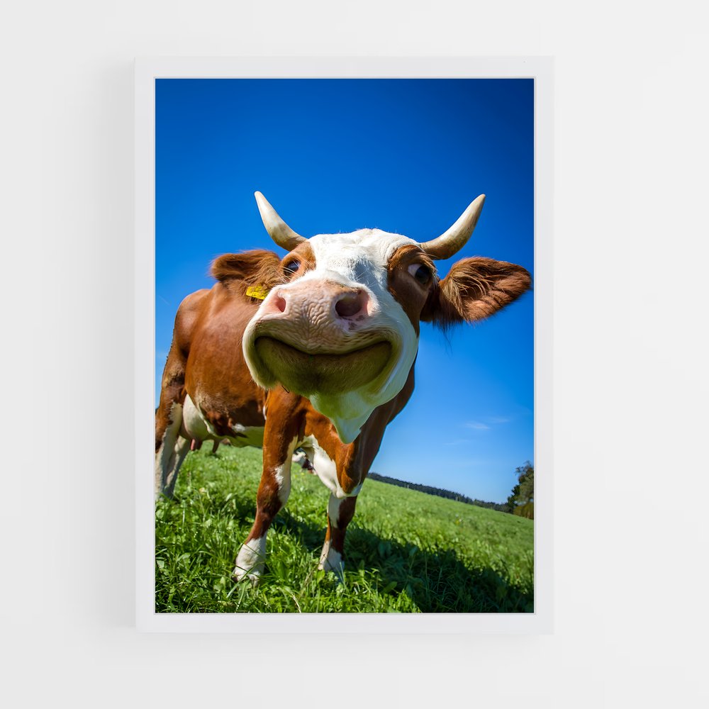 ap-cow-2 cadre Blanc
