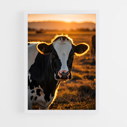 ap-cow-3 cadre Blanc