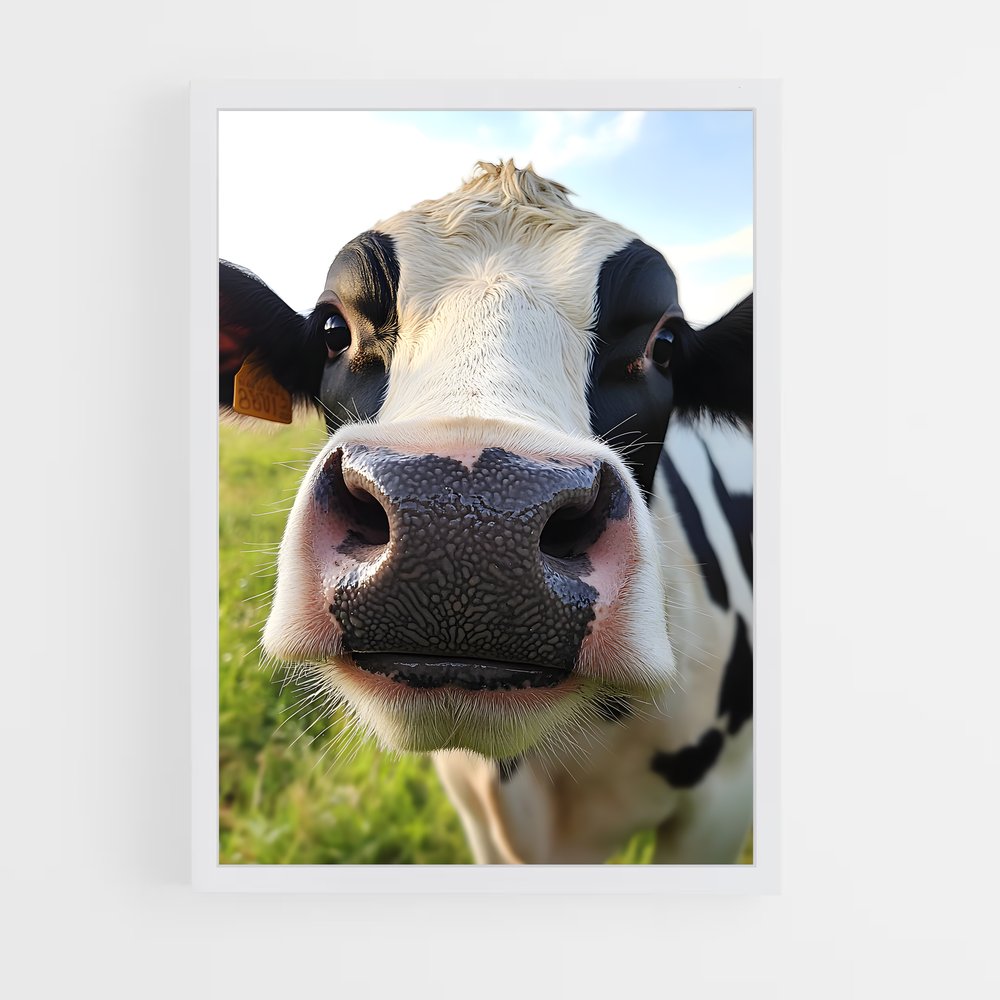 ap-cow-4 cadre Blanc