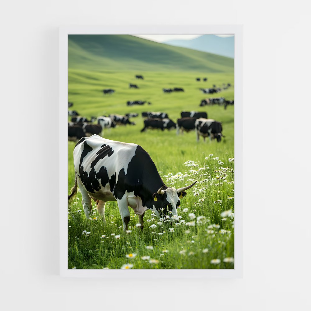 ap-cow-5 cadre Blanc