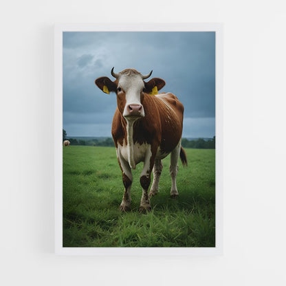 ap-cow-6 cadre Blanc