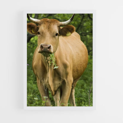ap-cow-7 cadre Blanc