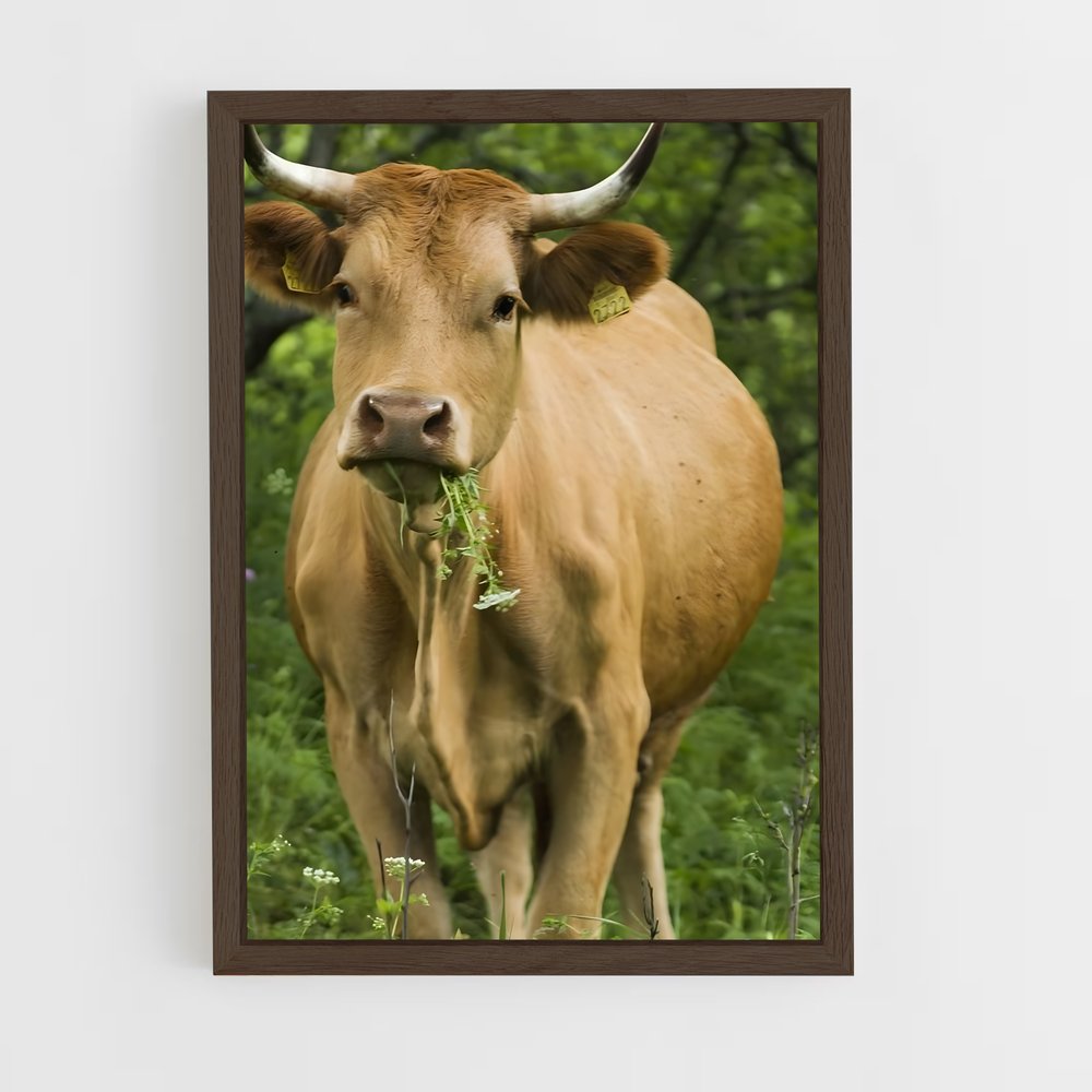 ap-cow-7 cadre Bois foncé