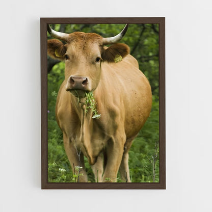 ap-cow-7 cadre Bois foncé