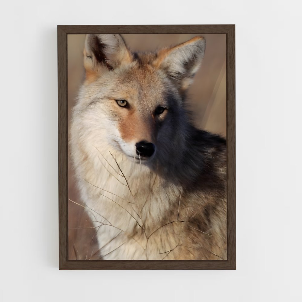 ap-coyote-5 cadre Bois foncé
