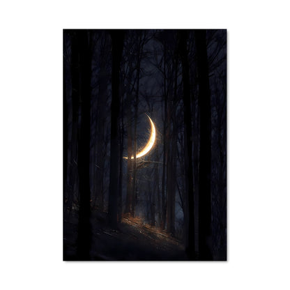 Poster Lune Éveillée