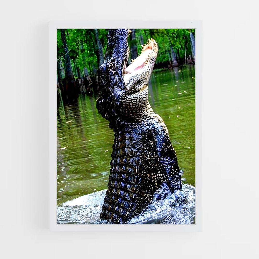 ap-crocodile-10 cadre Blanc