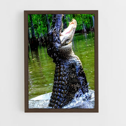 ap-crocodile-10 cadre Bois foncé