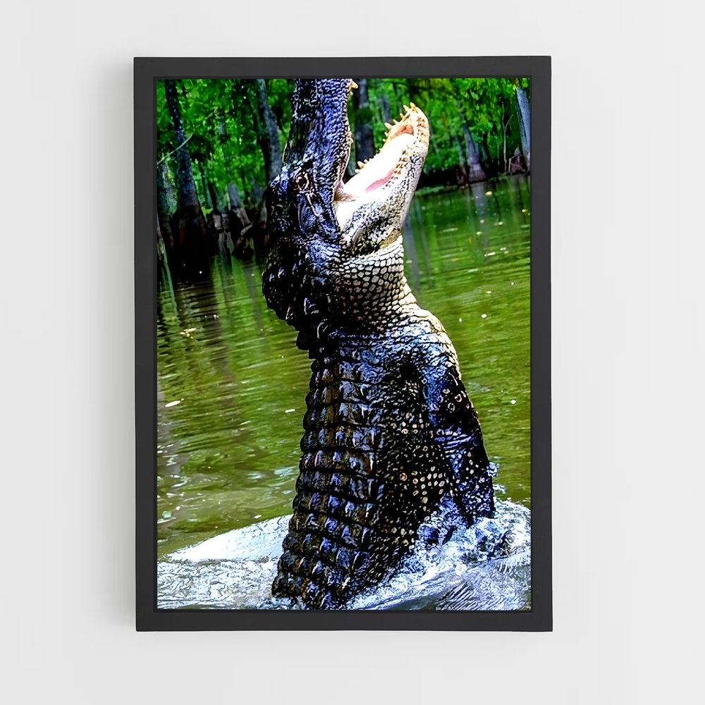 ap-crocodile-10 cadre Noir