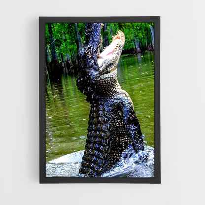 ap-crocodile-10 cadre Noir