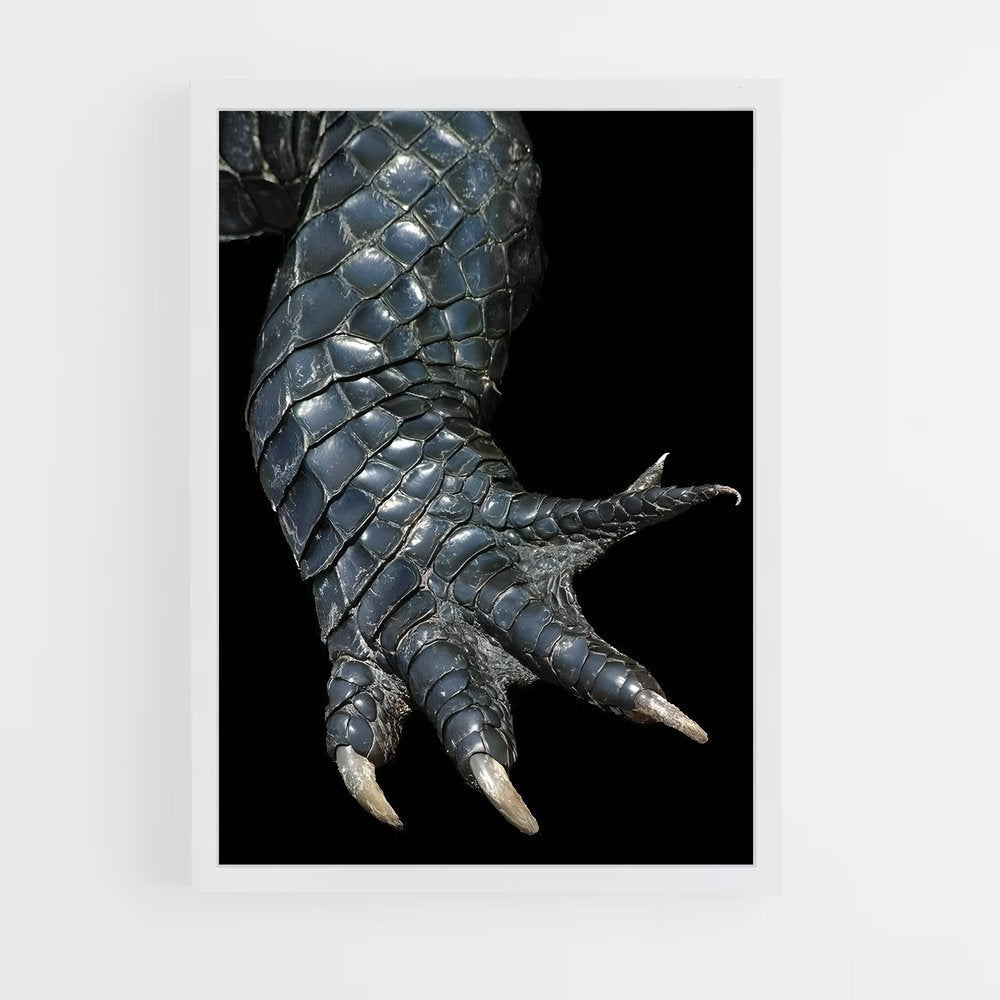 ap-crocodile-3 cadre Blanc