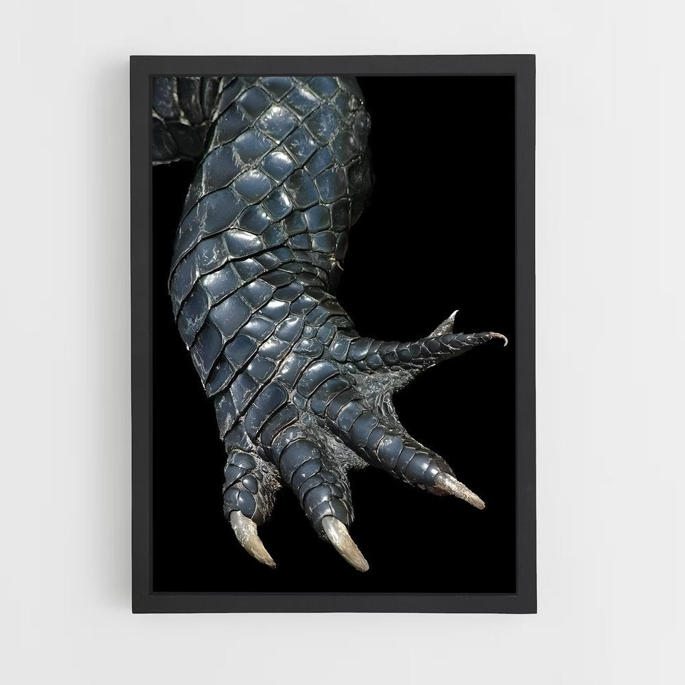 ap-crocodile-3 cadre Noir