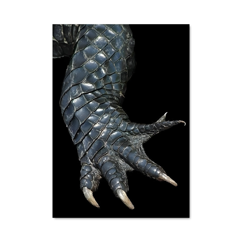 Poster Crocodile 83418