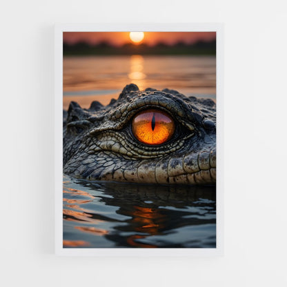 ap-crocodile-4 cadre Blanc