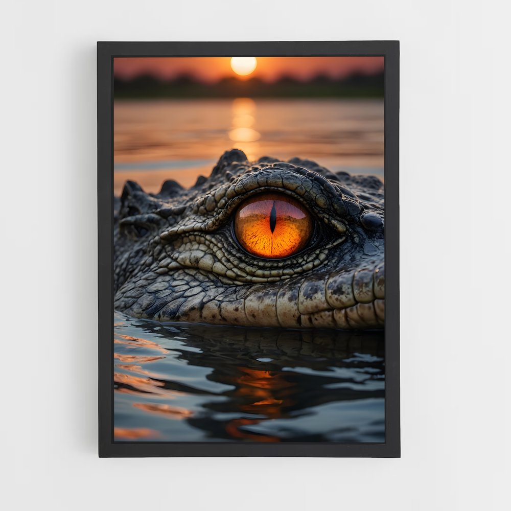 ap-crocodile-4 cadre Noir
