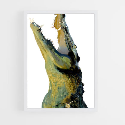 ap-crocodile-6 cadre Blanc