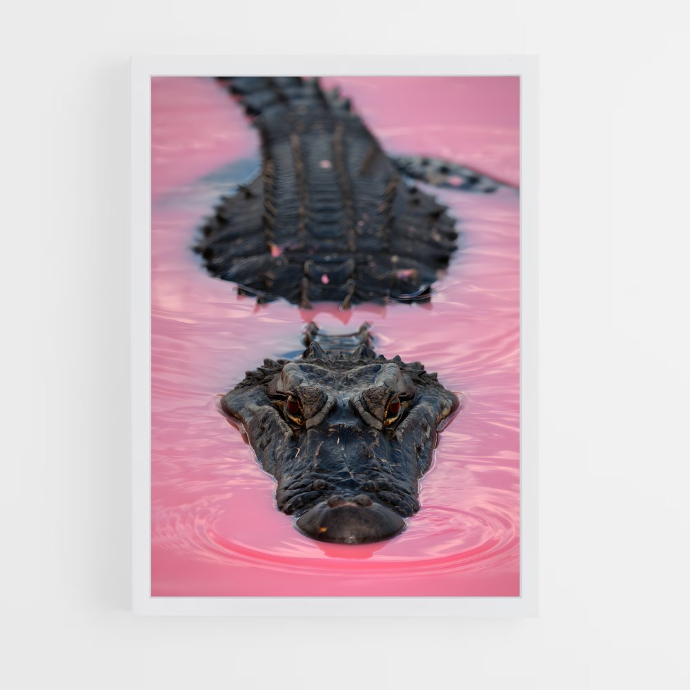 ap-crocodile-7 cadre Blanc