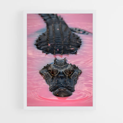 ap-crocodile-7 cadre Blanc