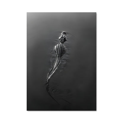Poster Nageur Sauvage