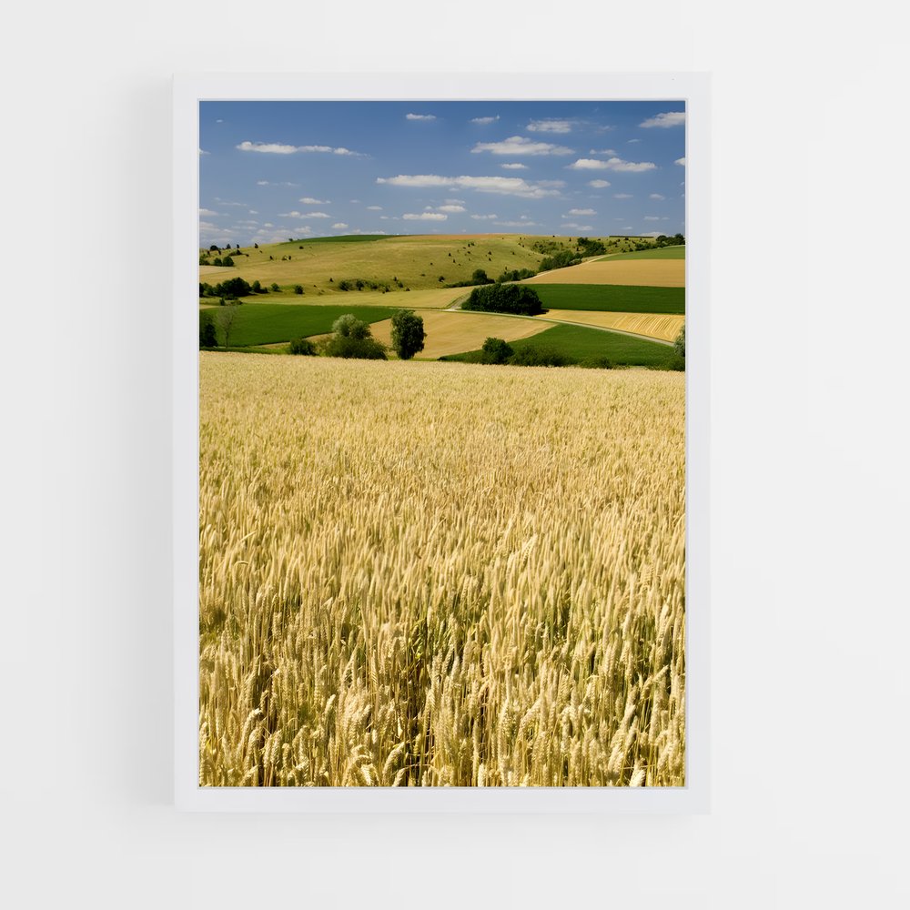 ap-crop-1 cadre Blanc