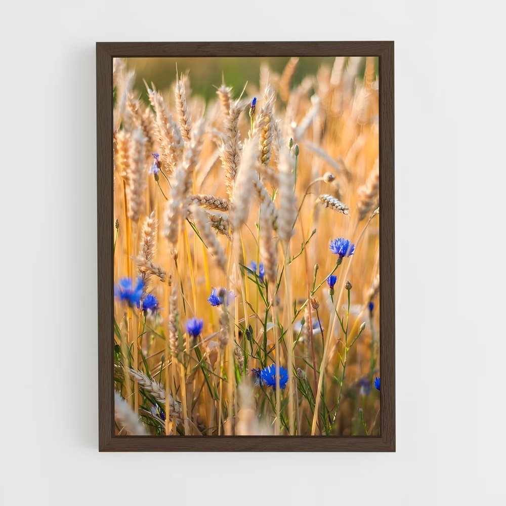ap-crop-2 cadre Bois foncé