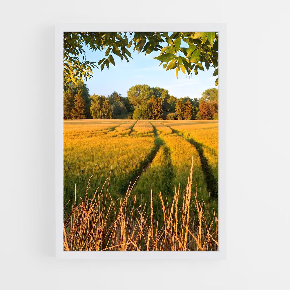 ap-crop-6 cadre Blanc