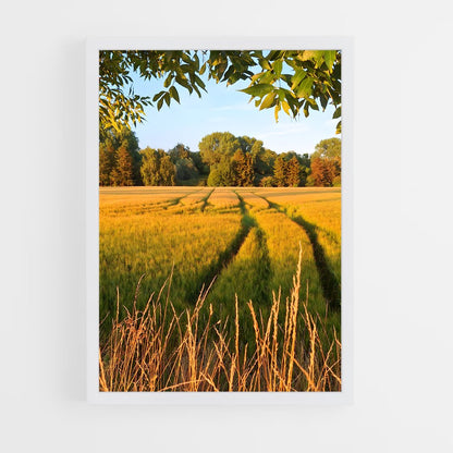 ap-crop-6 cadre Blanc