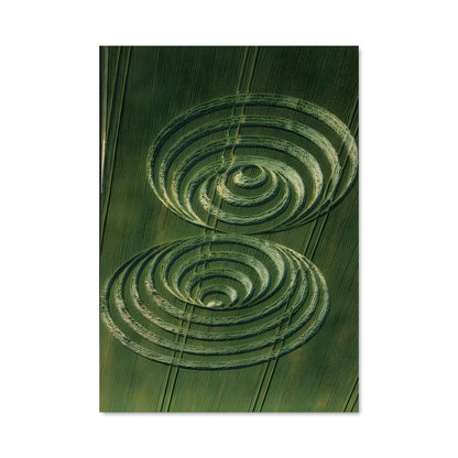 Poster Spirale de Blé