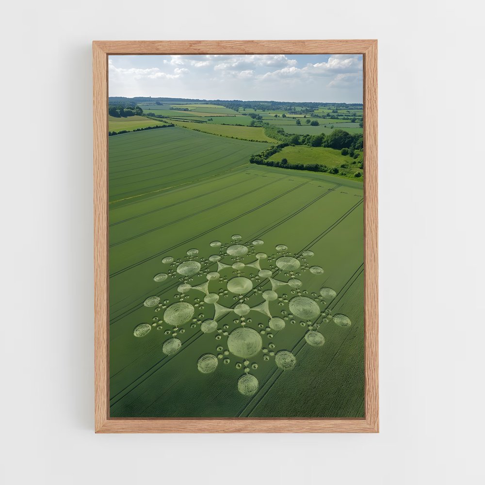 ap-crop circles-2 cadre Bois clair