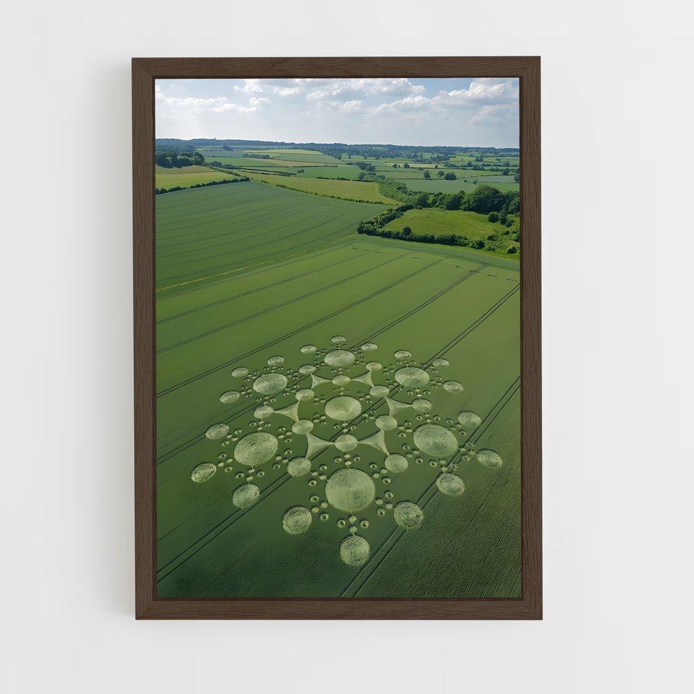 ap-crop circles-2 cadre Bois foncé