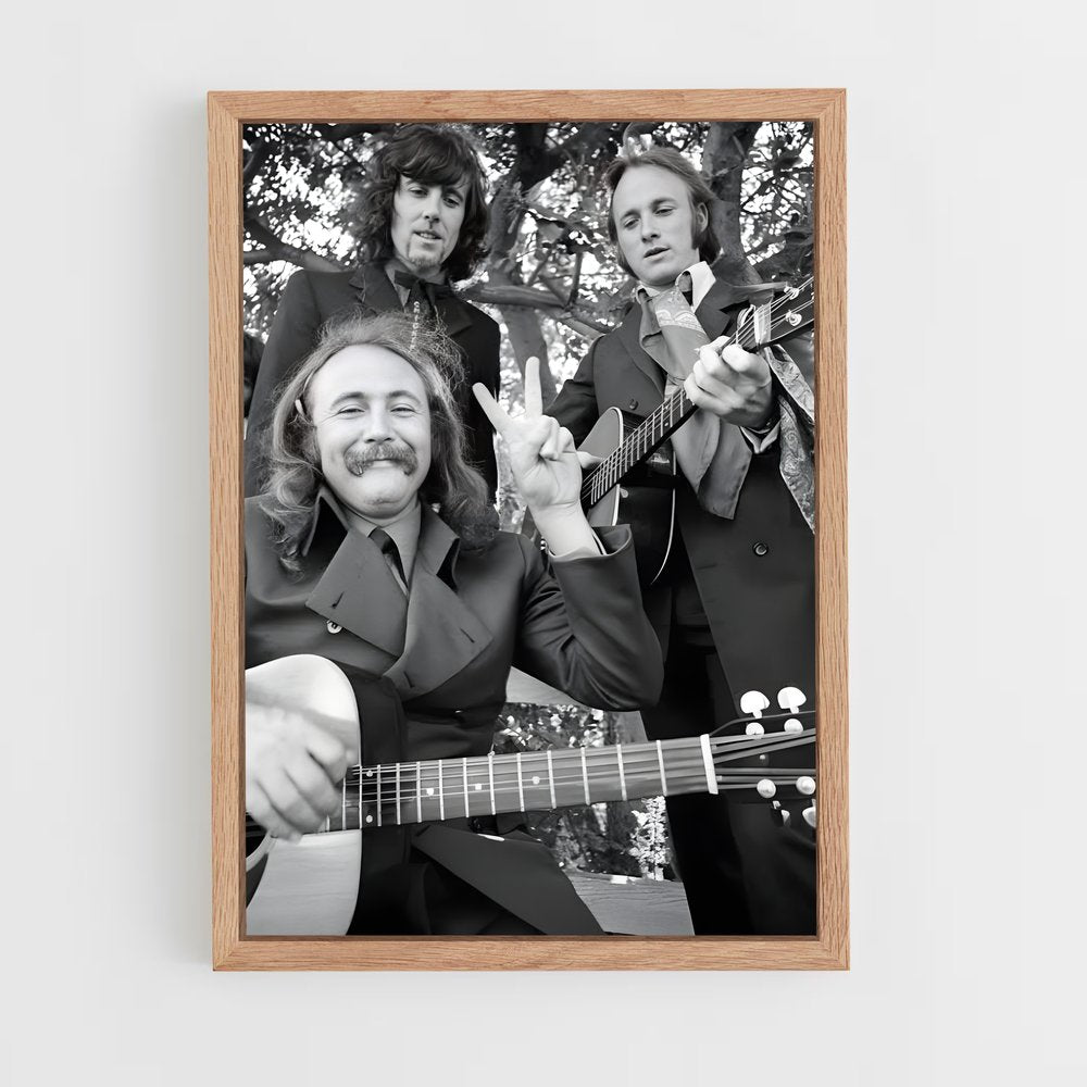 ap-crosby stills nash and young-3 cadre Bois clair