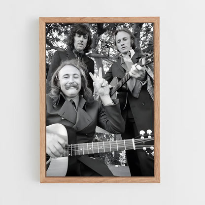 ap-crosby stills nash and young-3 cadre Bois clair