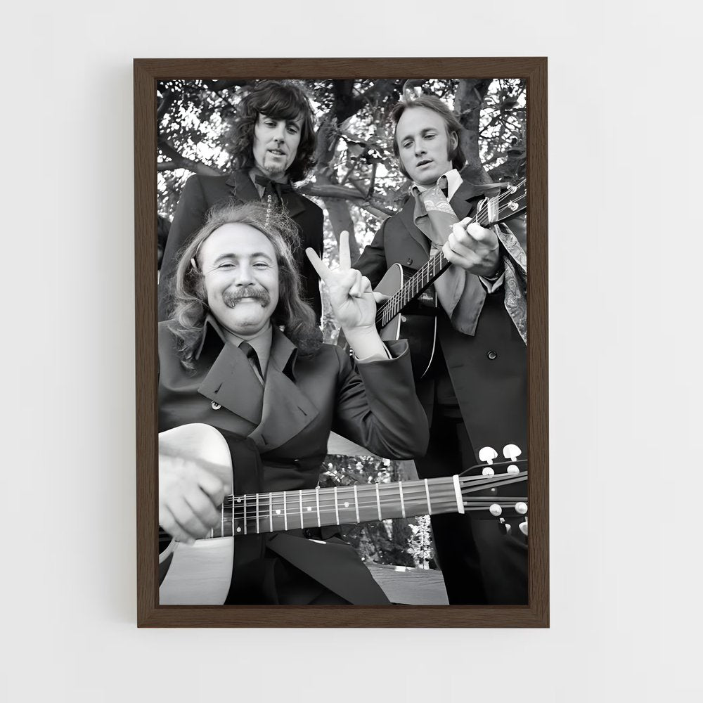 ap-crosby stills nash and young-3 cadre Bois foncé