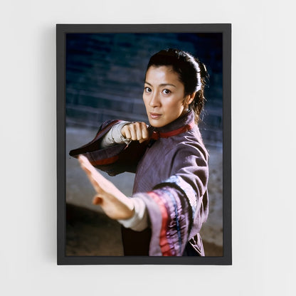 ap-crouching tiger hidden dragon-2 cadre Noir