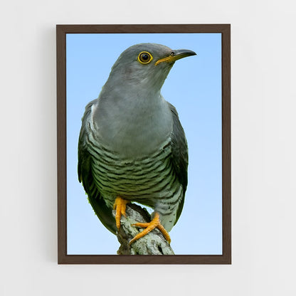 ap-cuckoo-1 cadre Bois foncé
