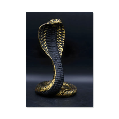 Poster Cobra d'Or