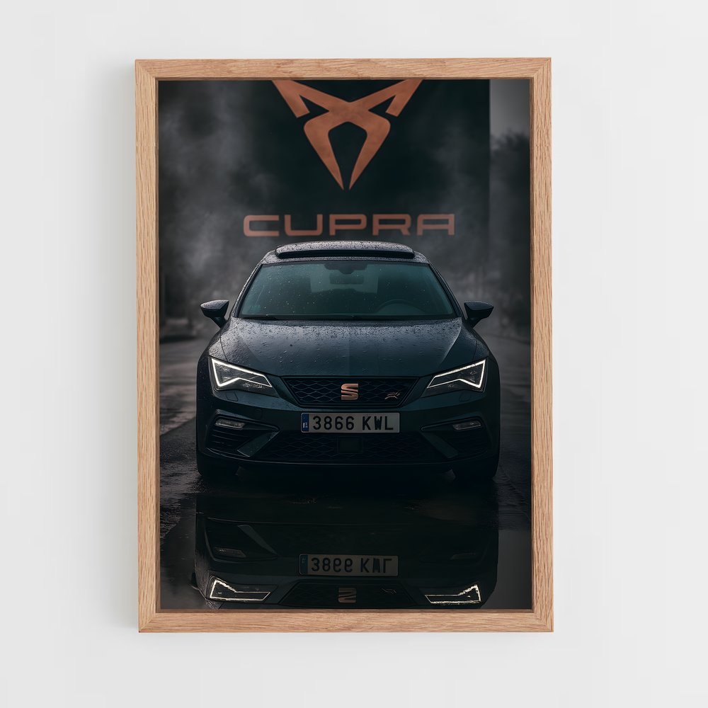 ap-cupra-2 cadre Bois clair