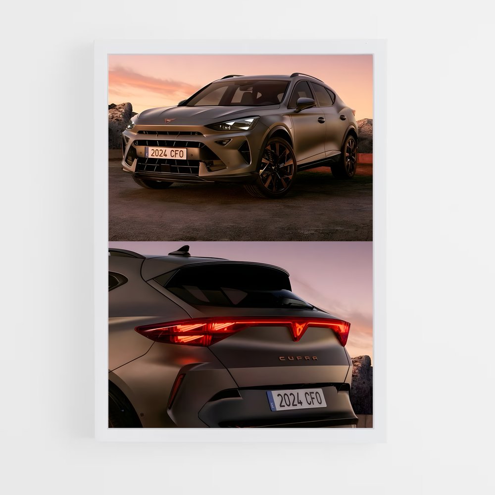 ap-cupra-6 cadre Blanc
