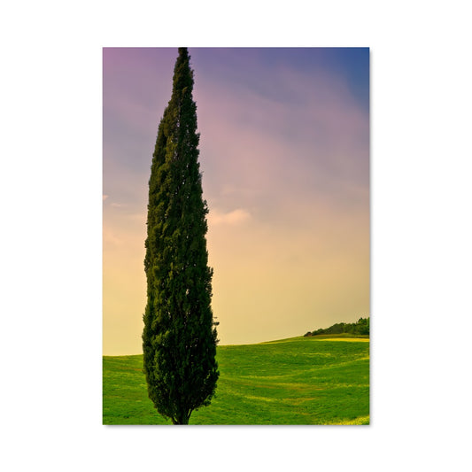 Poster Solitaire de Chêne