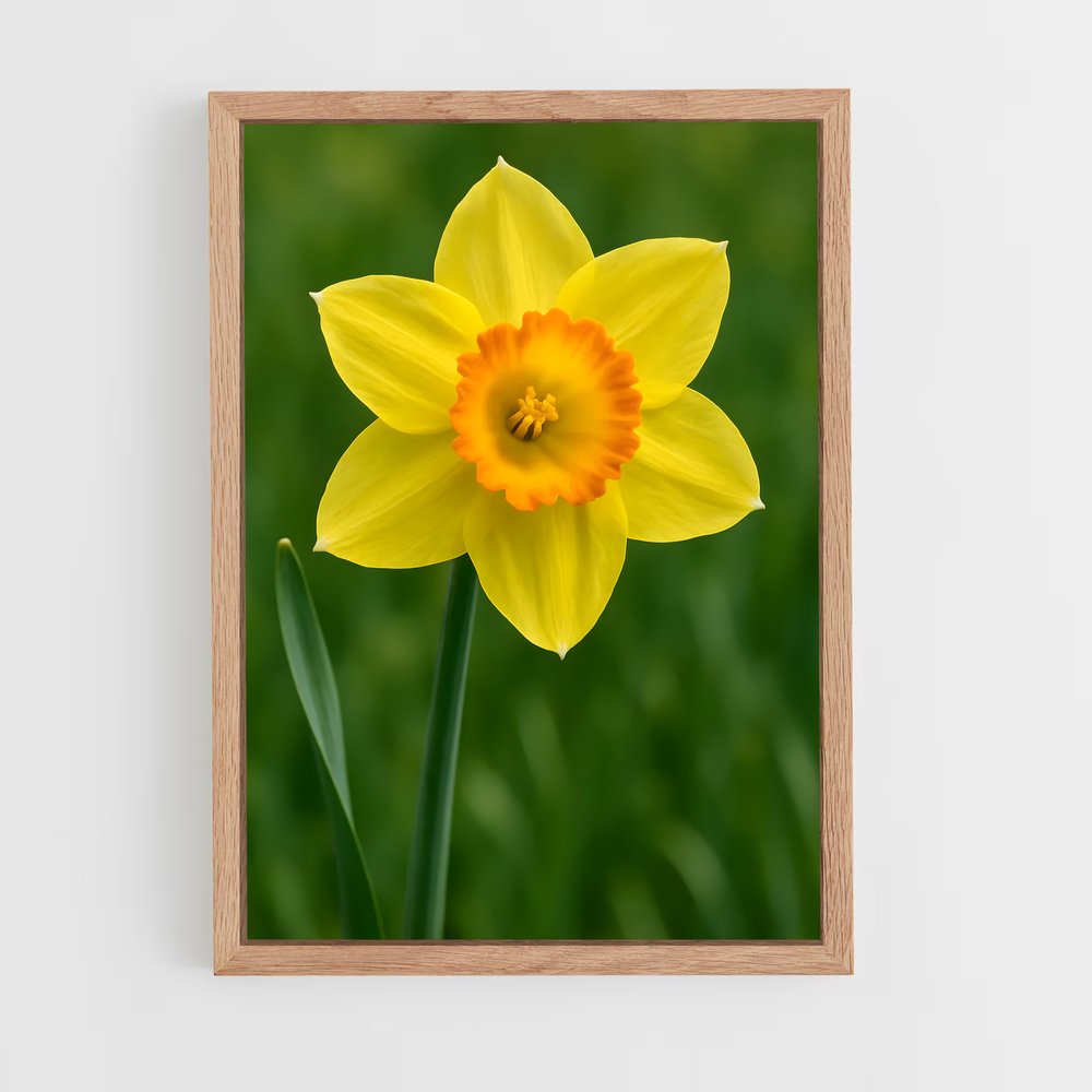 ap-daffodil-1 cadre Bois clair