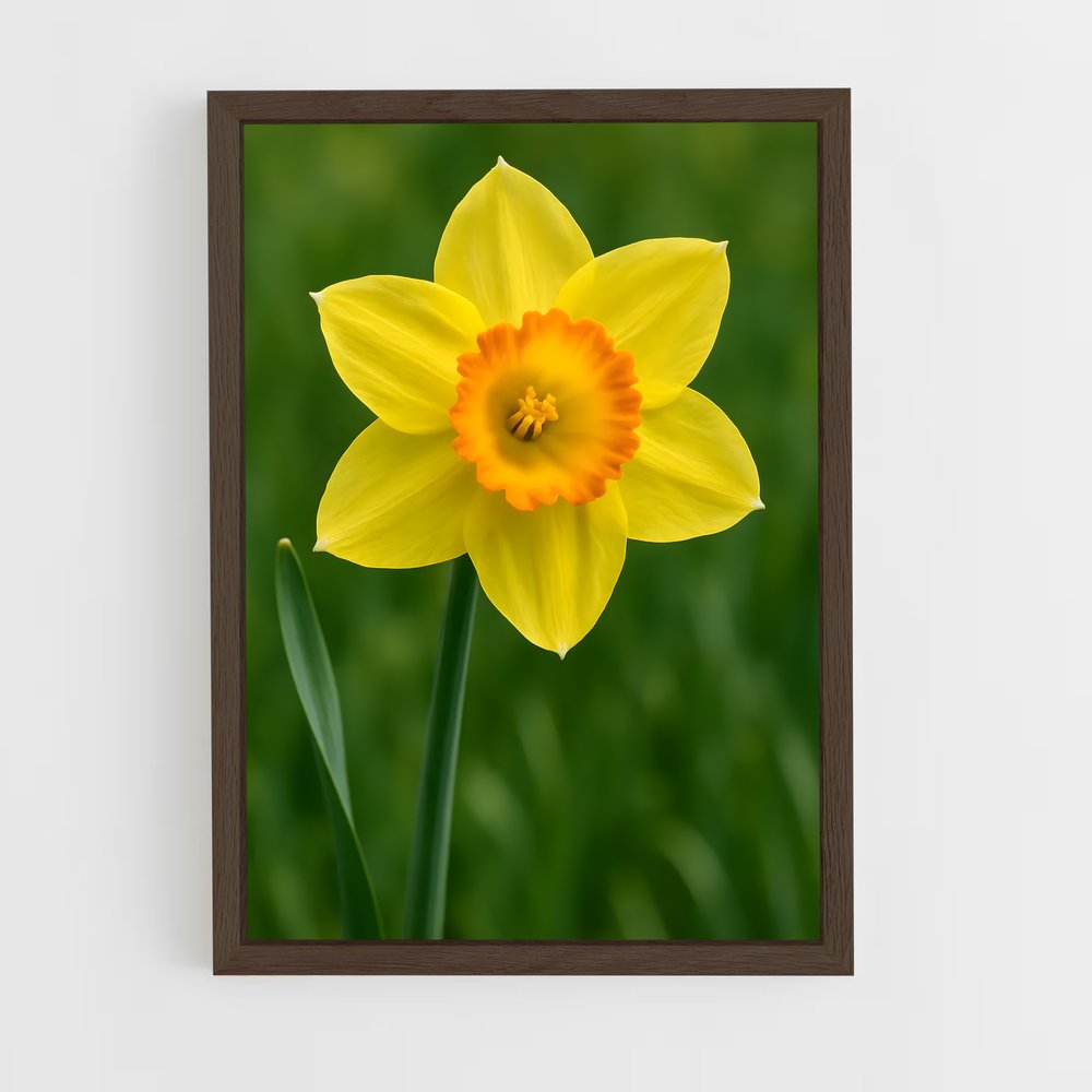 ap-daffodil-1 cadre Bois foncé
