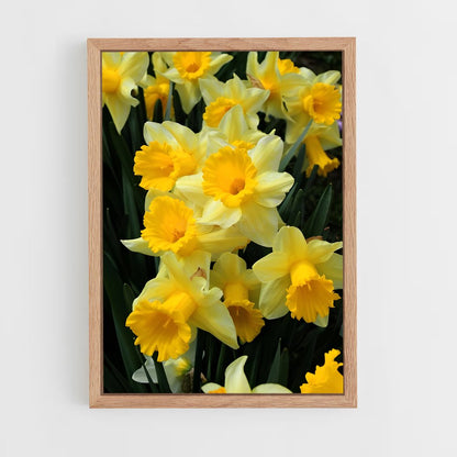ap-daffodil-3 cadre Bois clair